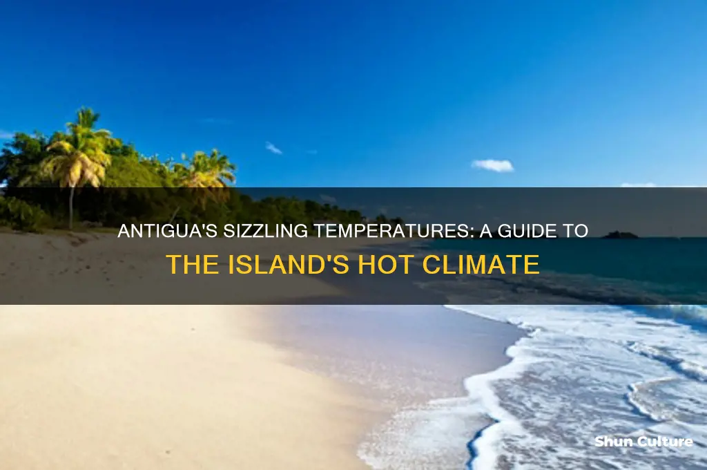 how hot is it in antigua