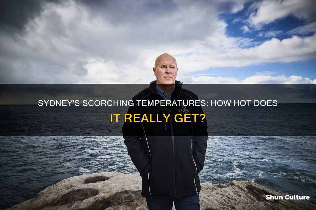 how hot is it in sydney australia