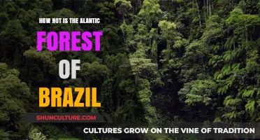 Exploring Brazil's Atlantic Forest: Climate, Biodiversity, and Heat Levels