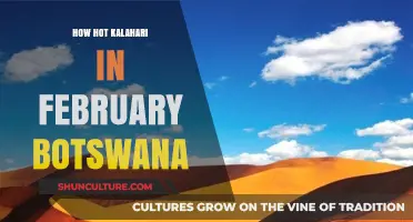 February's Fiery Kalahari: Experiencing Botswana's Desert Heat