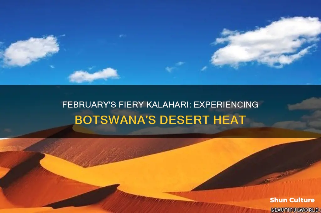 how hot kalahari in February botswana