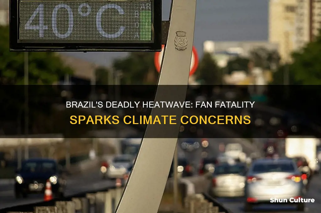 how hot was it in brazil when fan died