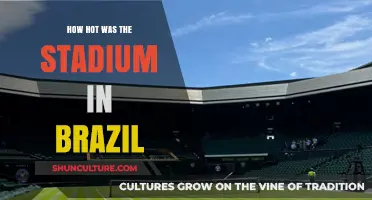 Brazil Stadium Heatwave: Unbearable Temperatures During the Match