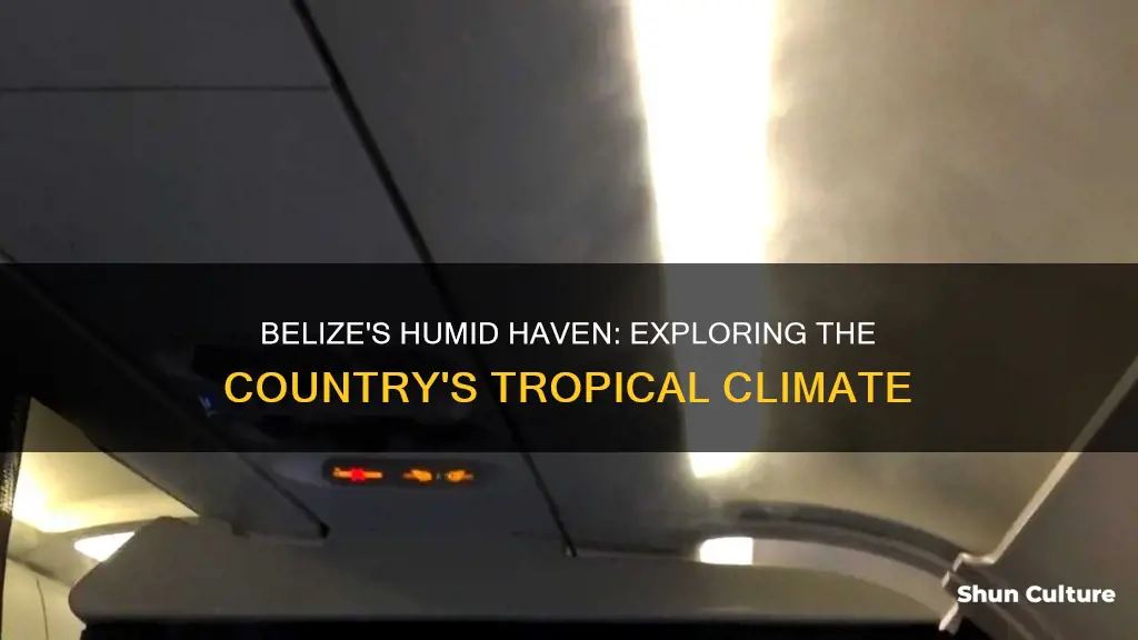 how humid is belize