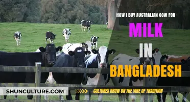 Buying Australian Dairy Cows in Bangladesh: My Personal Experience