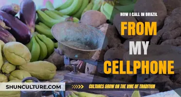 Easy Steps to Call Brazil from Your Cellphone: A Quick Guide