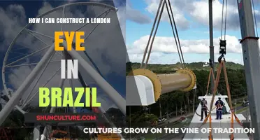 Building Brazil's Iconic Ferris Wheel: A London Eye Inspired Project