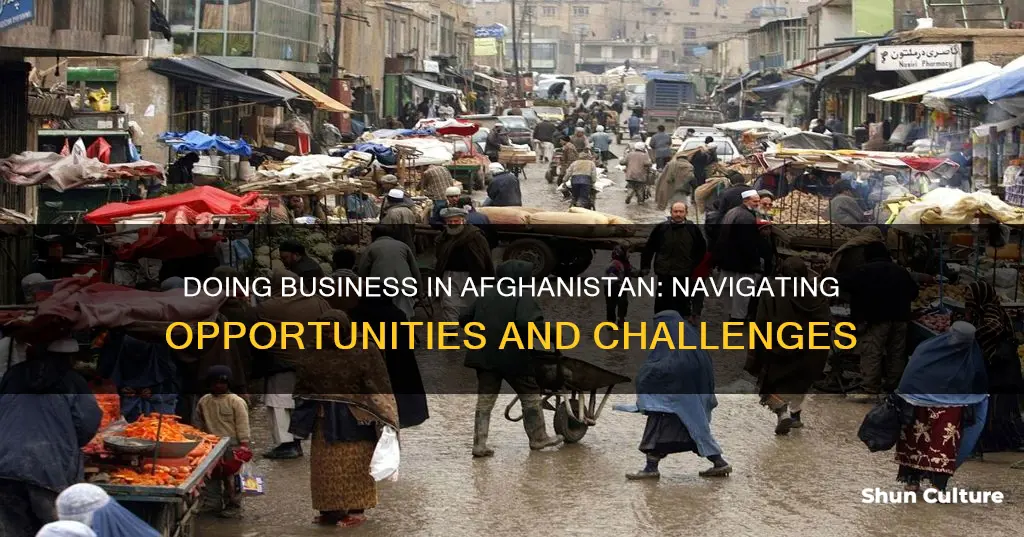 how I can do business in afghanistan