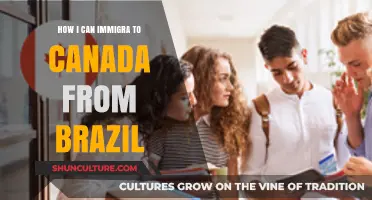 Step-by-Step Guide: How Brazilians Can Successfully Immigrate to Canada
