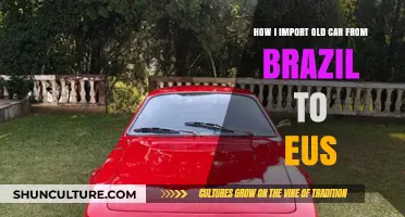 Importing Vintage Cars: My Guide to Bringing Brazilian Classics to the EU