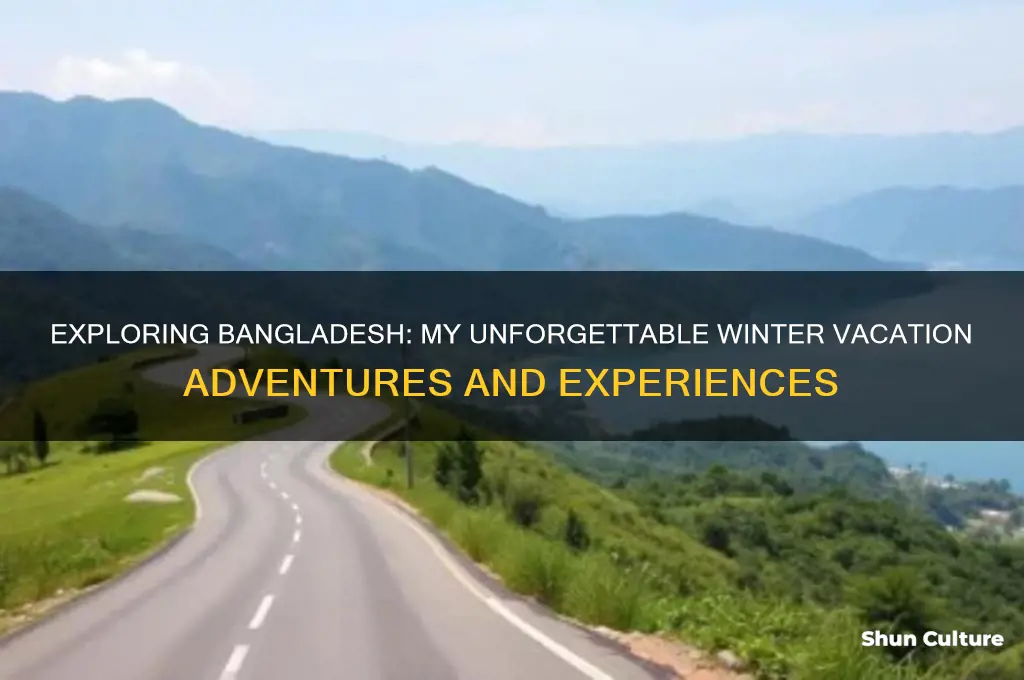 how I spent my winter vacation in bangladesh