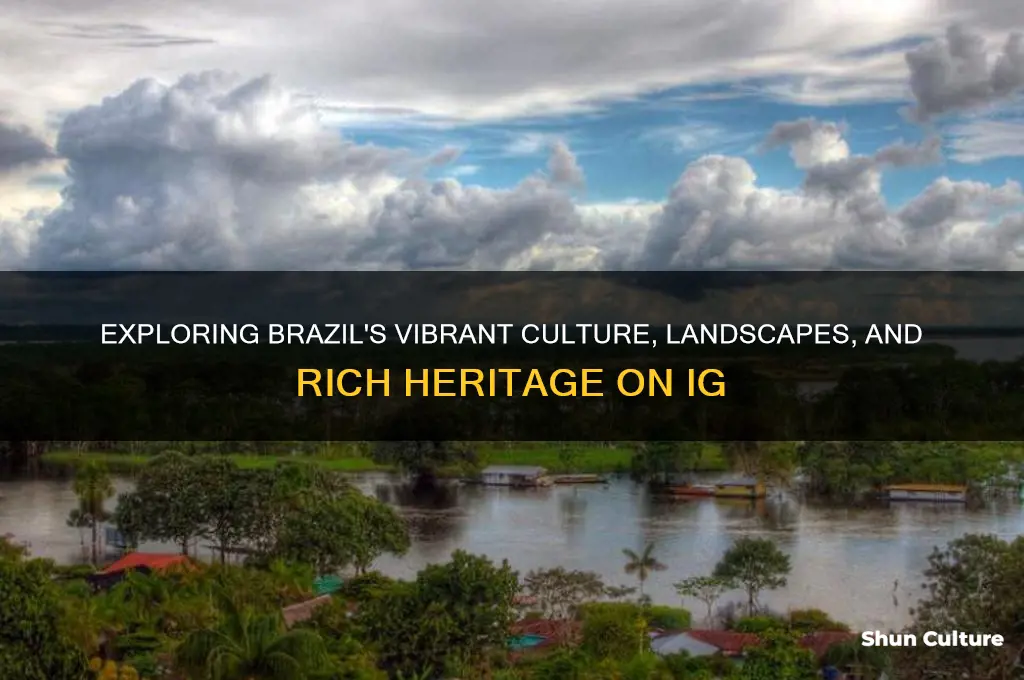 how ig is brazil