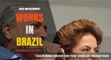 Understanding Brazil's Impeachment Process: A Comprehensive Step-by-Step Guide