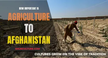 The Lifeblood of Afghanistan: Exploring Agriculture's Vital Role in the Country's Past, Present, and Future