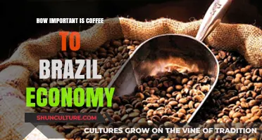 Brazil's Coffee Economy: A Key Driver of National Growth and Stability