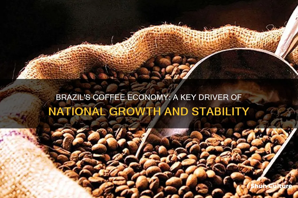 how important is coffee to brazil economy