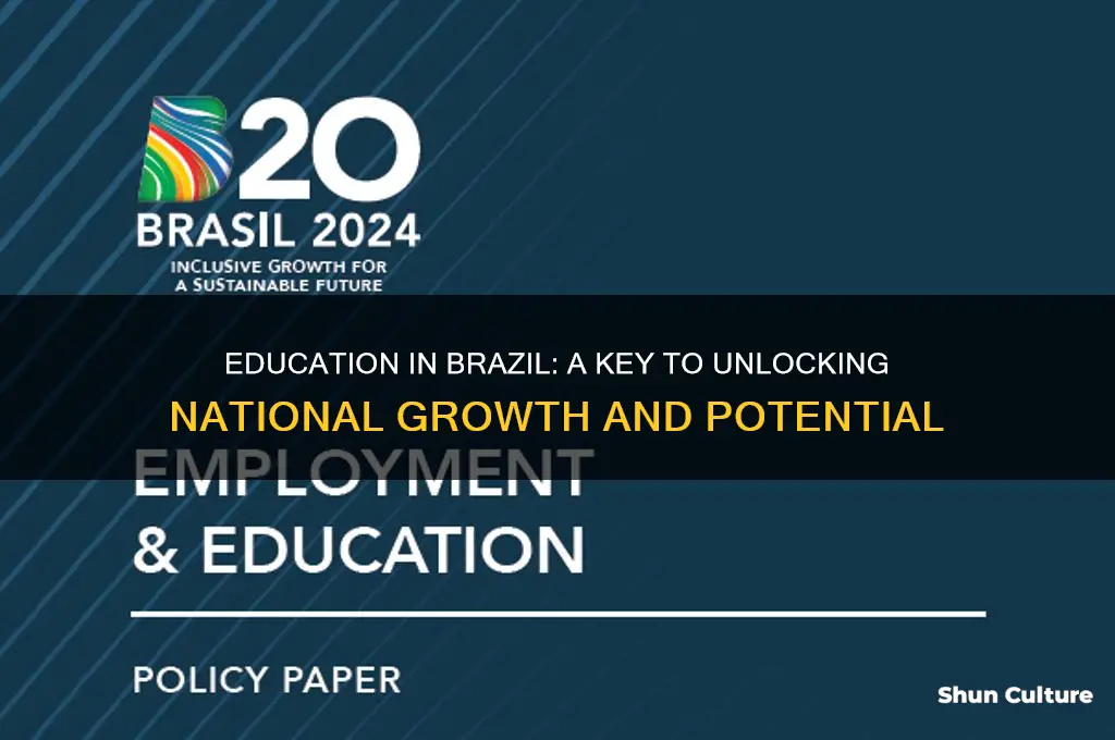 how important is education in brazil