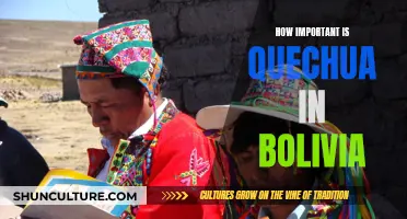 Quechua in Bolivia: A Vital Cultural Cornerstone