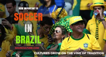 Soccer's Cultural Impact: Brazil's Passion and National Identity Explored