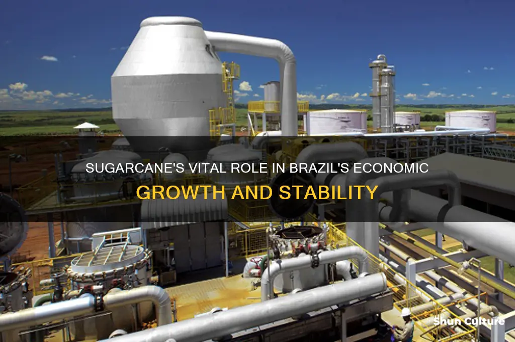 how important is sugarcane to brazil