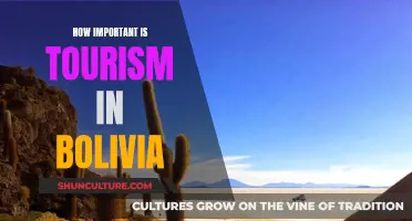 Tourism in Bolivia: A Vital Economic Pillar