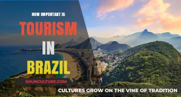 Exploring Brazil's Economy: The Vital Role of Tourism Revealed
