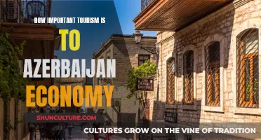 Tourism's Impact on Azerbaijan's Economy: A Vital Perspective