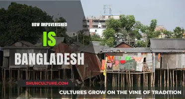 Understanding Bangladesh's Poverty: Challenges, Realities, and Paths to Progress