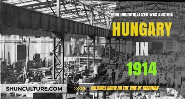 Austria-Hungary's Industrial Might: A Snapshot of 1914