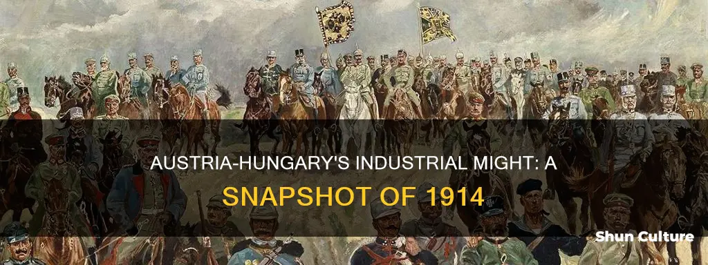 how industrialized was austria hungary in 1914