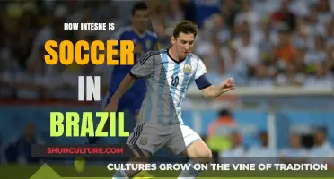 Brazil's Soccer Passion: Unmatched Intensity and Cultural Significance Explored
