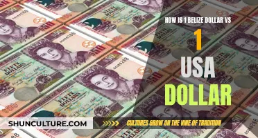 Dollar Duel: Belize and the USA Go Head-to-Head