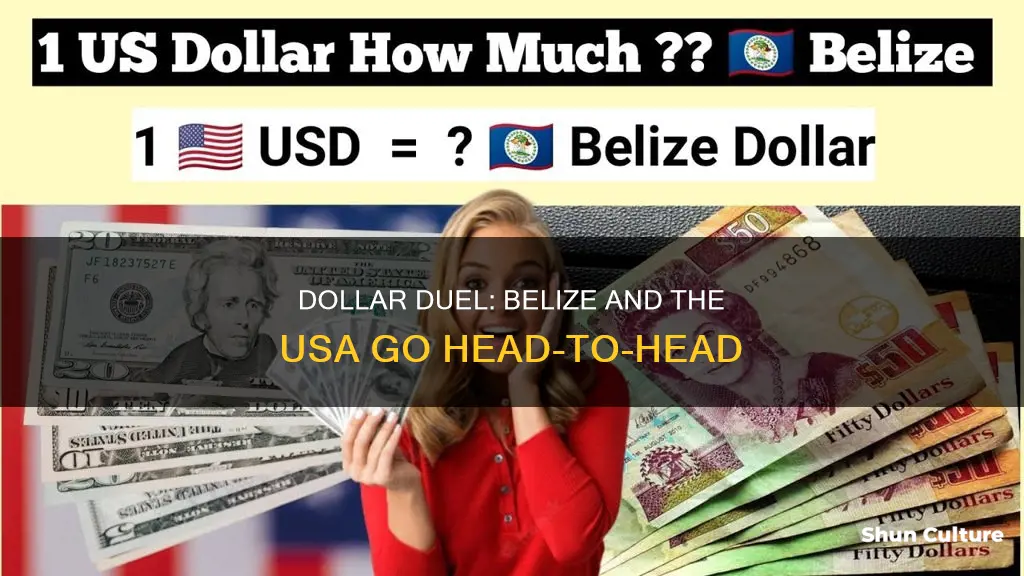 how is 1 belize dollar vs 1 usa dollar