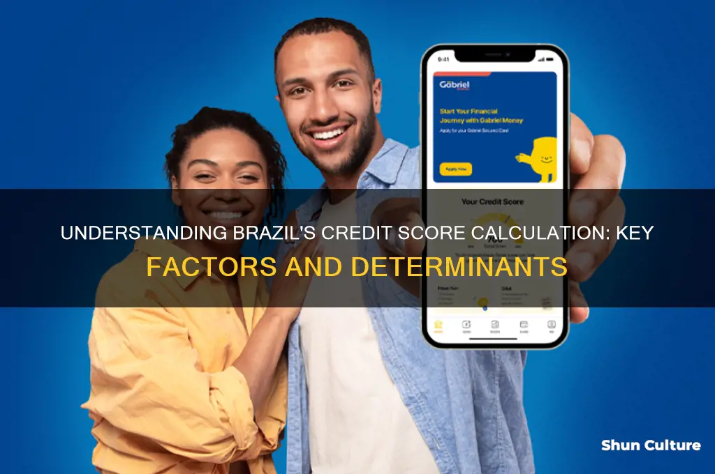how is a credit score determined in brazil