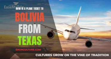 Affordable Flights: Texas to Bolivia in 10 Steps