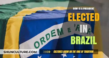 Brazil's Presidential Election Process: A Comprehensive Guide to Voting