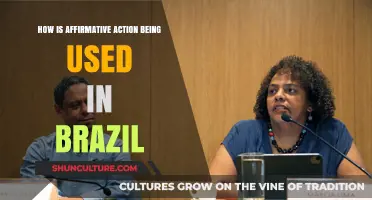 Brazil's Affirmative Action: Policies, Impact, and Social Change Explored