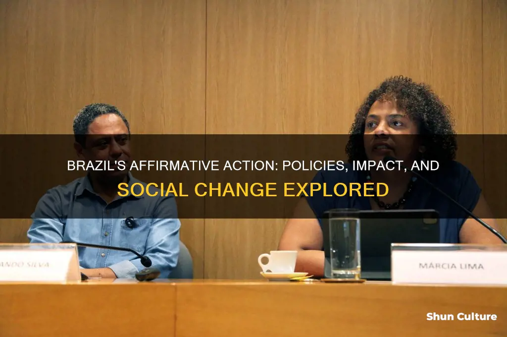 how is affirmative action being used in brazil