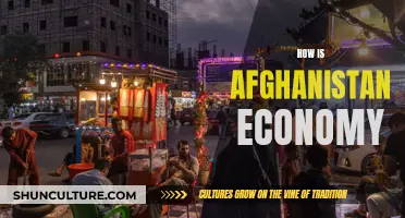 Afghanistan's Economy: A Tale of Resilience and Recovery