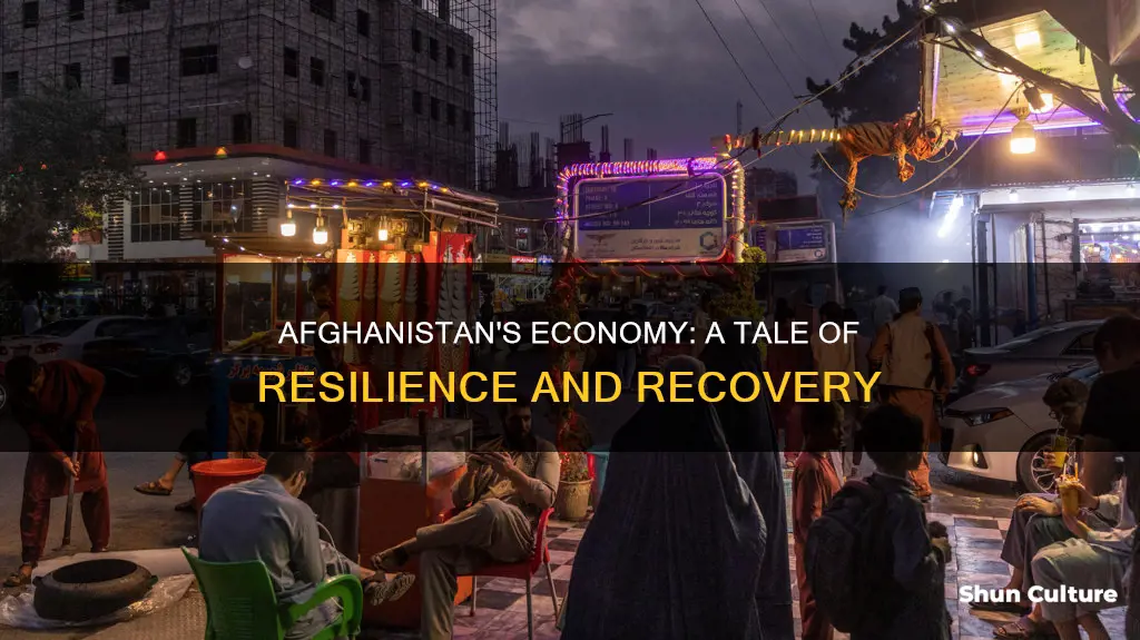 how is afghanistan economy