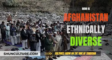 The Ethnic Mosaic of Afghanistan: A Complex Blend of Cultures and Peoples