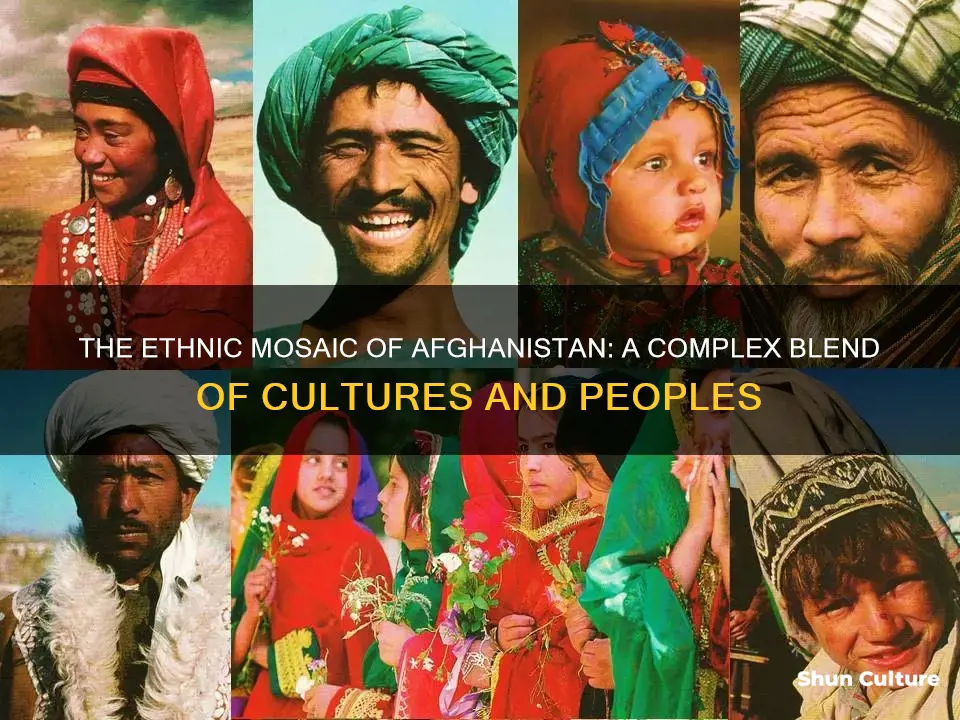 how is afghanistan ethnically diverse