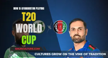 Afghanistan's T20 World Cup Journey: A Story of Resilience and Rising Cricket