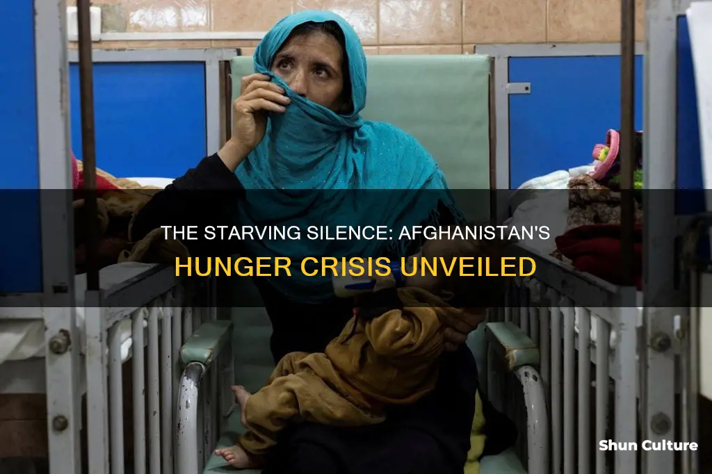 how is afghanistan suffering from hunger