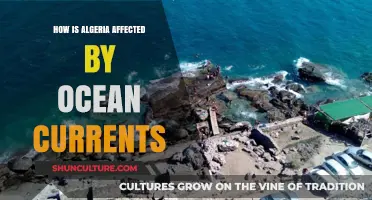 Algeria's Coastal Climate: Ocean Currents' Impact on Environment and Economy