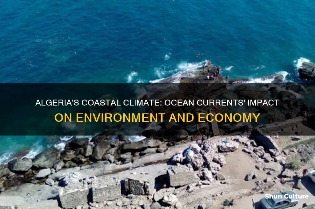 how is algeria affected by ocean currents