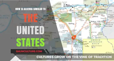 Algeria and the U.S.: Surprising Cultural, Historical, and Political Parallels