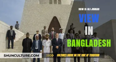 Ali Jinnah's Legacy in Bangladesh: Perception and Historical Context