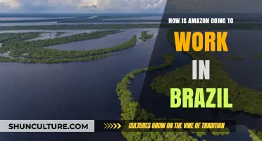 Amazon's Expansion in Brazil: Challenges, Opportunities, and Future Strategies