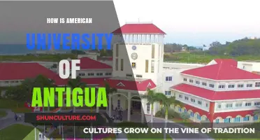 Exploring American University of Antigua: Reputation, Programs, and Student Life